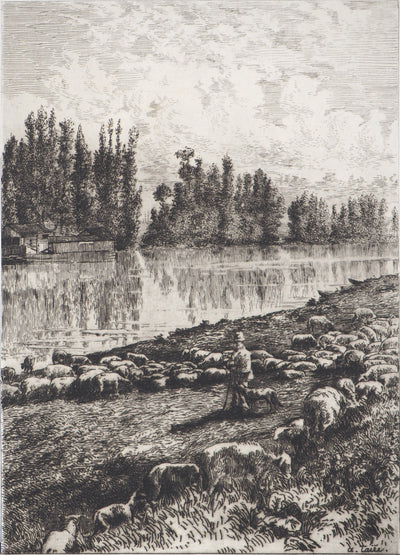 Alfred TAIEE : Parc à moutons - Gravure
