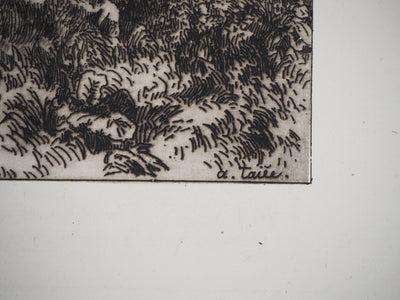 Alfred TAIEE : Parc à moutons - Gravure (détail)