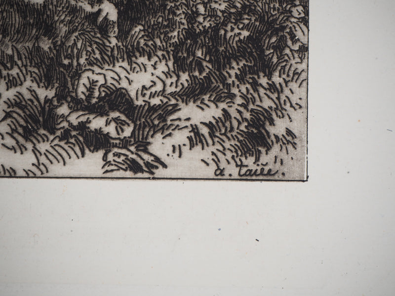 Alfred TAIEE : Parc à moutons - Gravure (détail)
