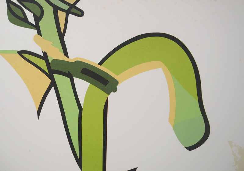 Hervé TELEMAQUE : Nature morte surréaliste, 1982 - Lithographie (détail)