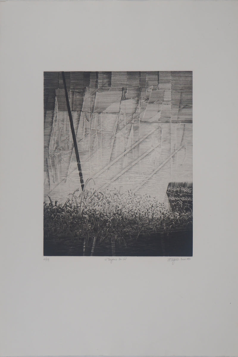 Etienne TINGAUD : L&