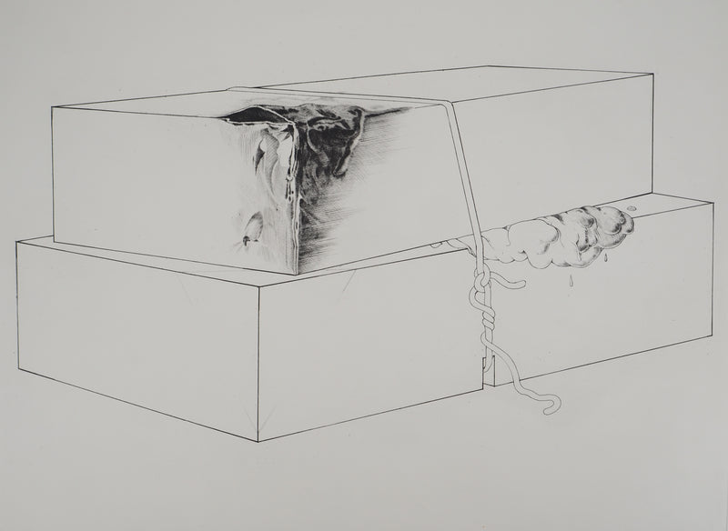 Gérard TITUS-CARMEL : La détérioration des deux boites : contamination, 1971 - Gravure (détail)