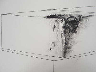 Gérard TITUS-CARMEL : La détérioration des deux boites : contamination, 1971 - Gravure (détail)