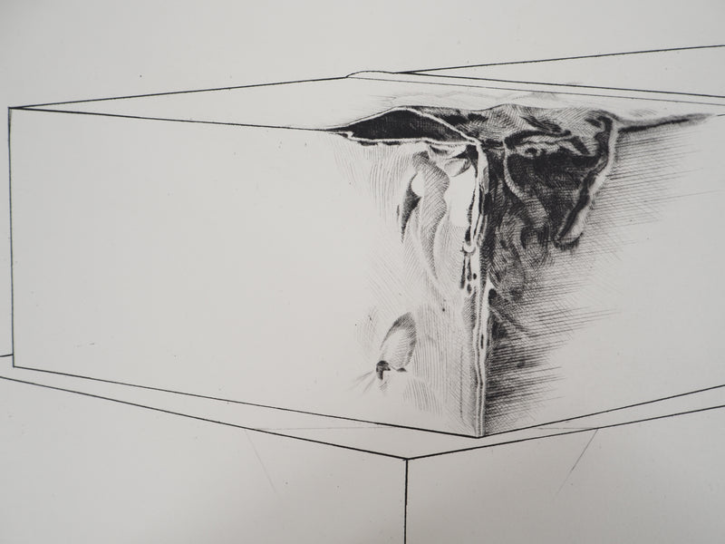 Gérard TITUS-CARMEL : La détérioration des deux boites : contamination, 1971 - Gravure (détail)