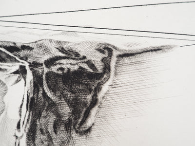 Gérard TITUS-CARMEL : La détérioration des deux boites : contamination, 1971 - Gravure (détail)