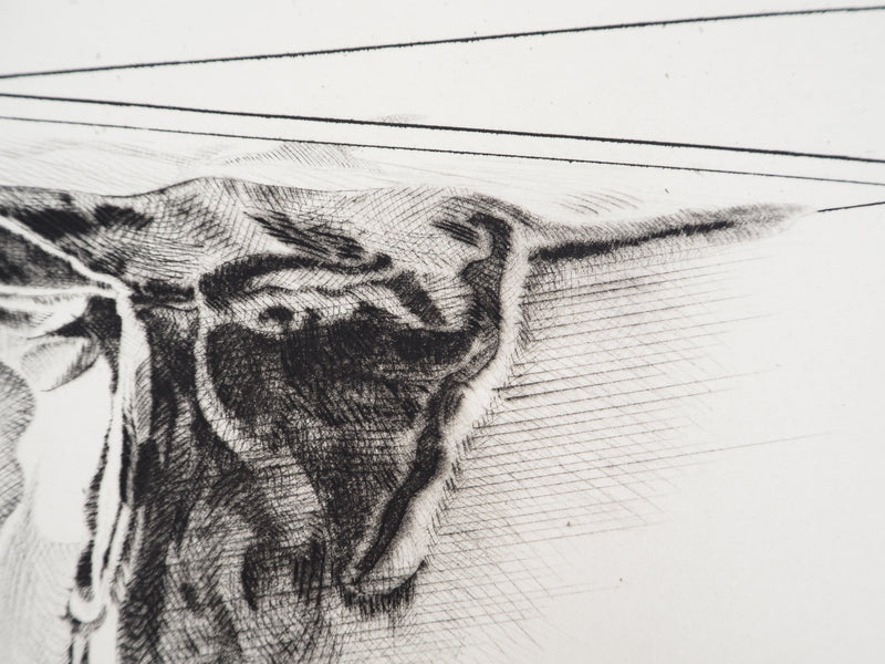 Gérard TITUS-CARMEL : La détérioration des deux boites : contamination, 1971 - Gravure (détail)