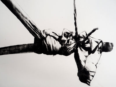 Gérard TITUS-CARMEL : Noeuds, agrès et tiges, 1977 - Gravure (détail)