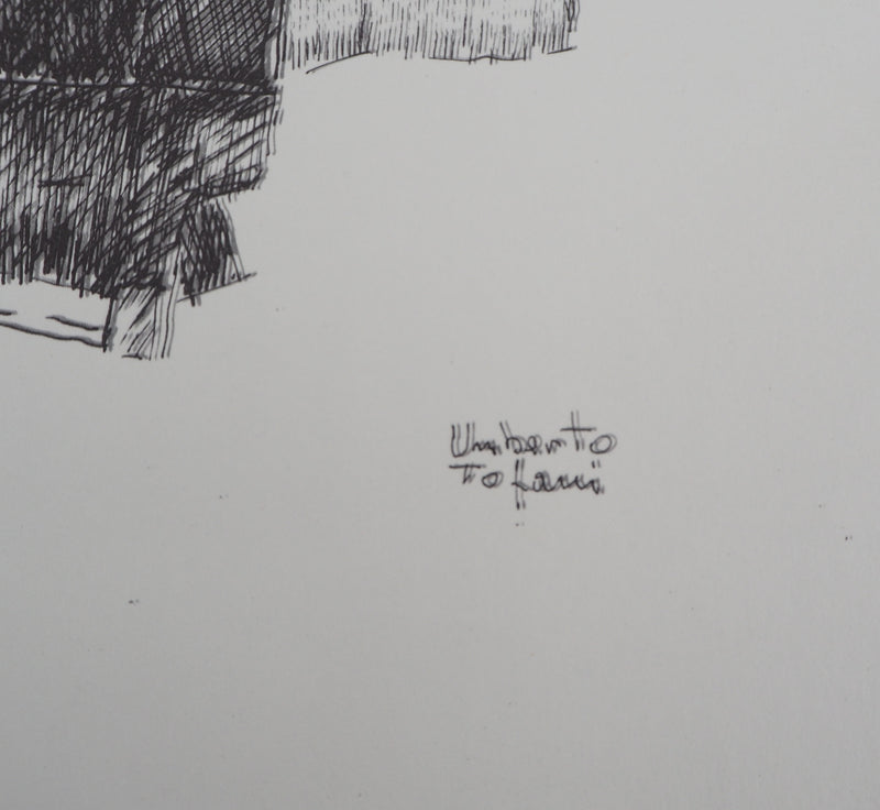 Umberto TOFANI : Fortezza Medicea - art (détail)