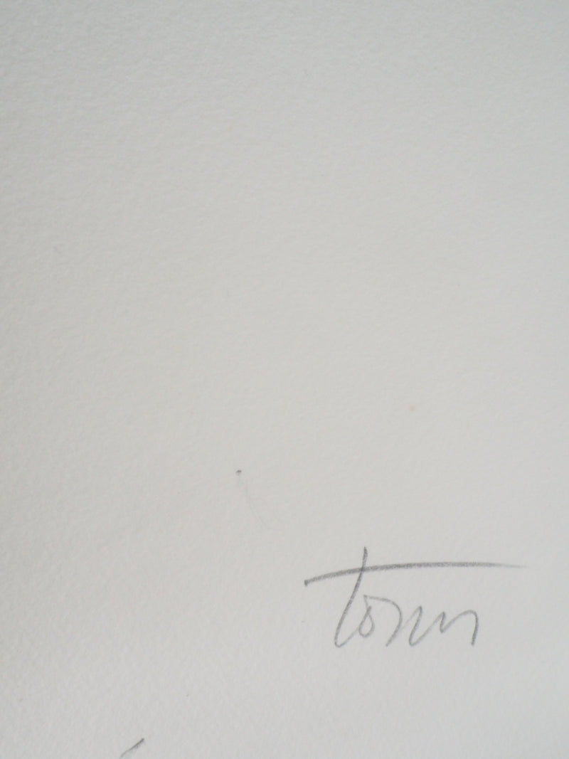 Fernando TORMO : La gaillardia - Gravure (détail)