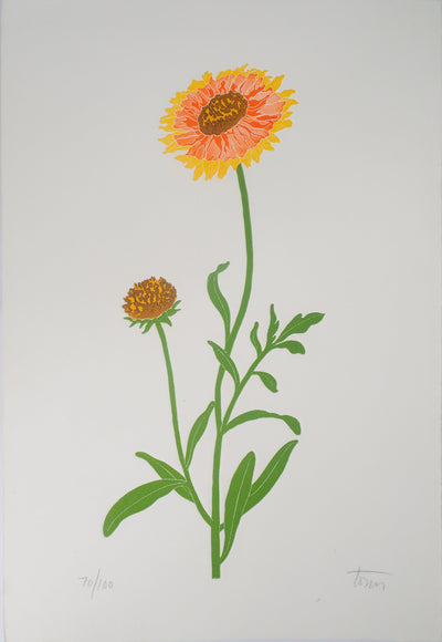 Fernando TORMO : La gaillardia - Gravure (détail)