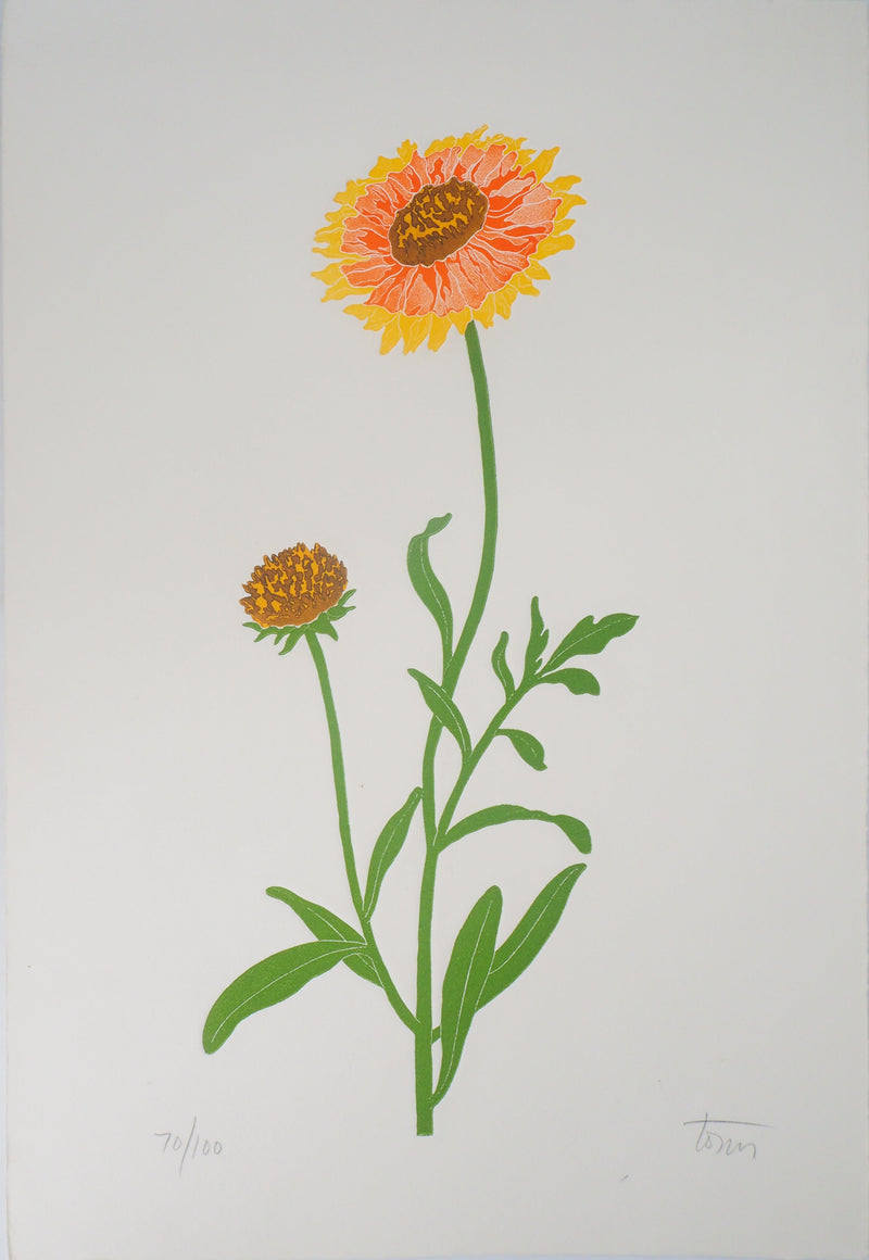 Fernando TORMO : La gaillardia - Gravure (détail)