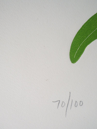 Fernando TORMO : La gaillardia - Gravure (détail)