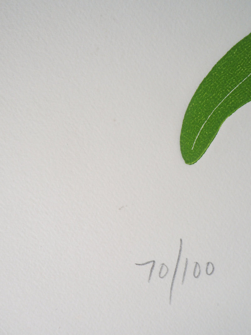 Fernando TORMO : La gaillardia - Gravure (détail)