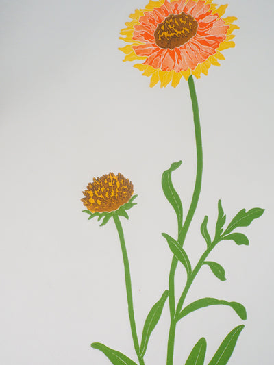 Fernando TORMO : La gaillardia - Gravure (détail)