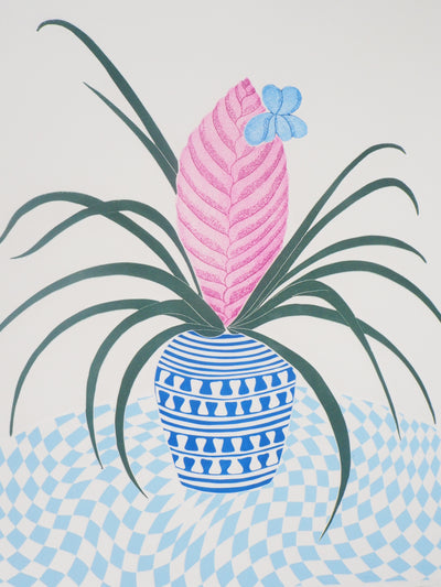 Fernando TORMO : Plante grecque - Gravure