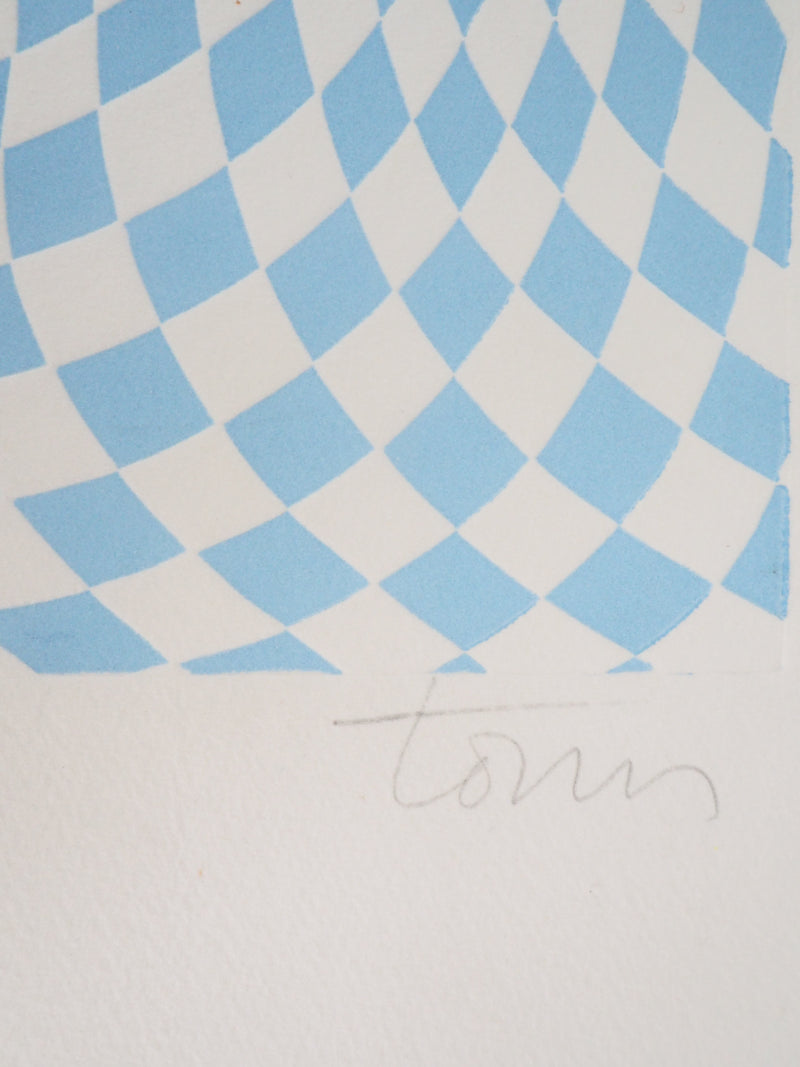 Fernando TORMO : Plante grecque - Gravure (détail)