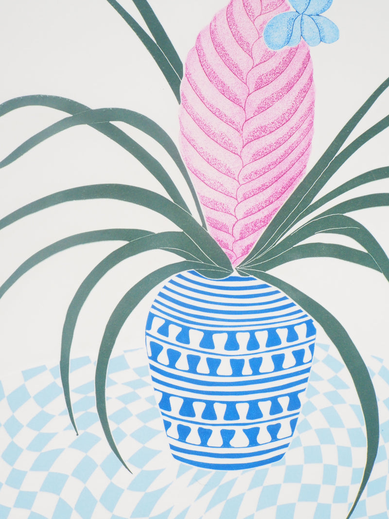 Fernando TORMO : Plante grecque - Gravure (détail)