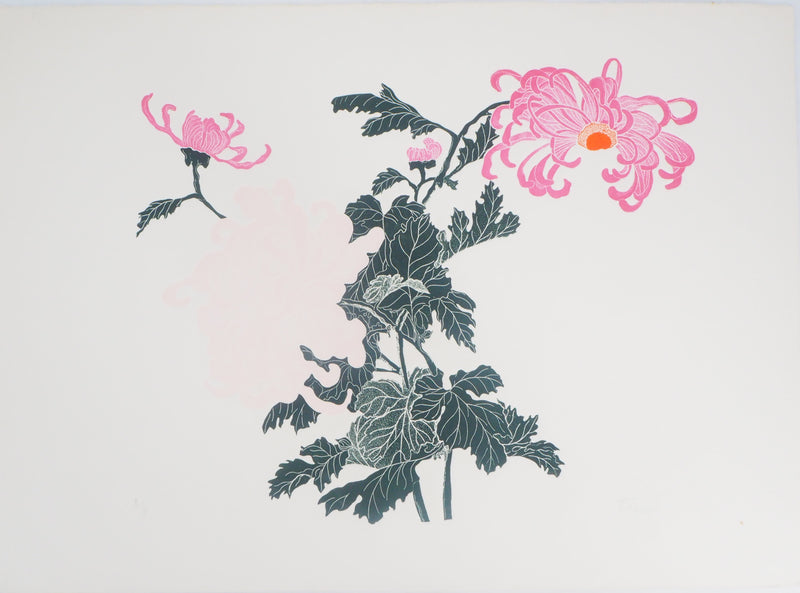 Fernando TORMO : Les Spider Mums - Gravure