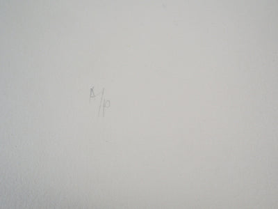 Fernando TORMO : Les Spider Mums - Gravure (détail)