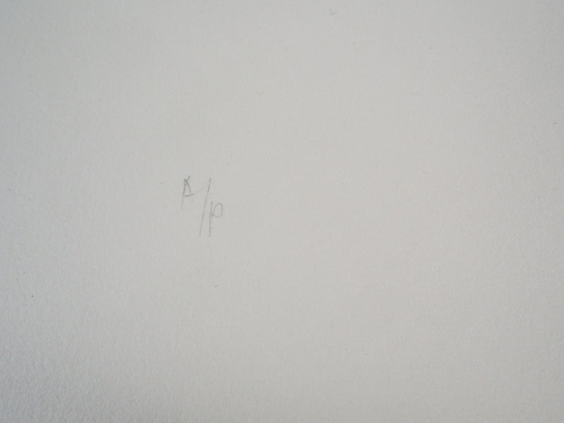 Fernando TORMO : Les Spider Mums - Gravure (détail)