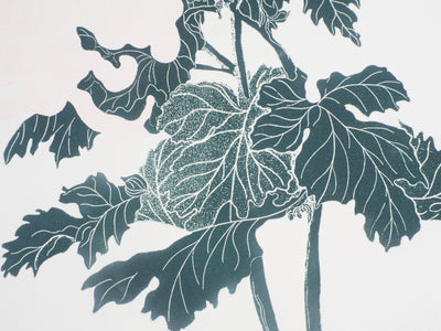 Fernando TORMO : Les Spider Mums - Gravure (détail)