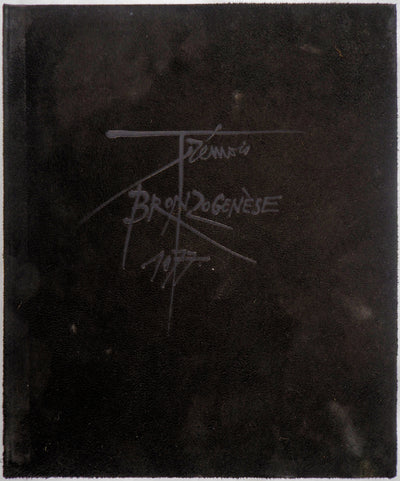Pierre-Yves TREMOIS : Deux visages et Raya, 1977 - Livre (détail)