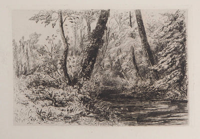 Carel Nicolaas Storm VAN'S GRAVESANDE : Souvenir de cressonnières à Veules-en-Caux - Gravure