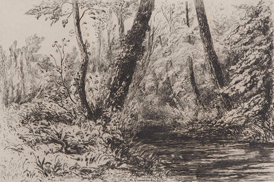 Carel Nicolaas Storm VAN'S GRAVESANDE : Souvenir de cressonnières à Veules-en-Caux - Gravure (détail)