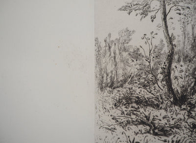 Carel Nicolaas Storm VAN'S GRAVESANDE : Souvenir de cressonnières à Veules-en-Caux - Gravure (détail)