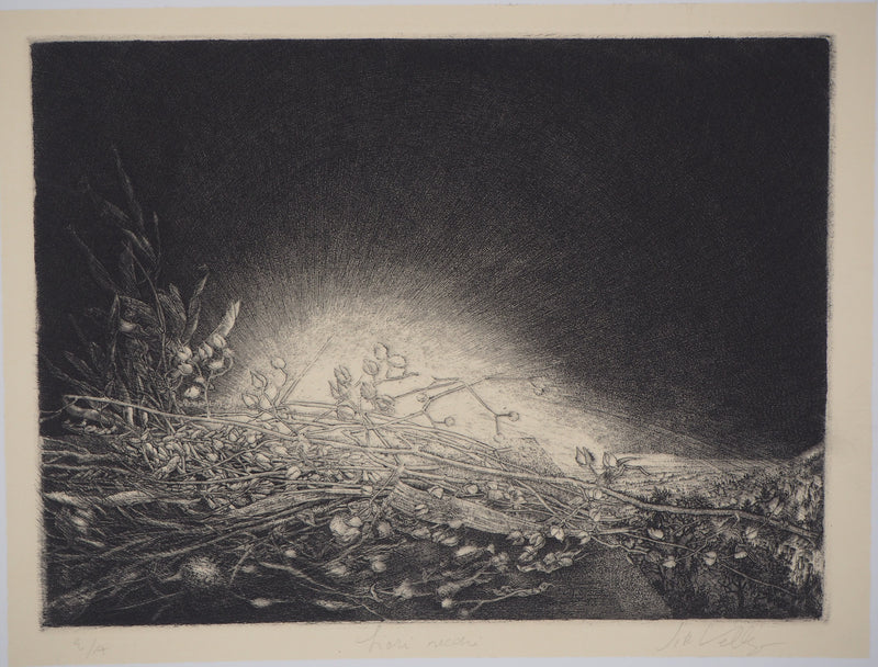 Jean-Pierre VELLY : Liori secchi - Gravure