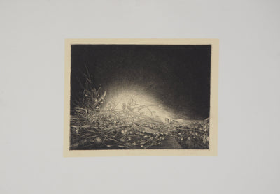 Jean-Pierre VELLY : Liori secchi - Gravure (détail)
