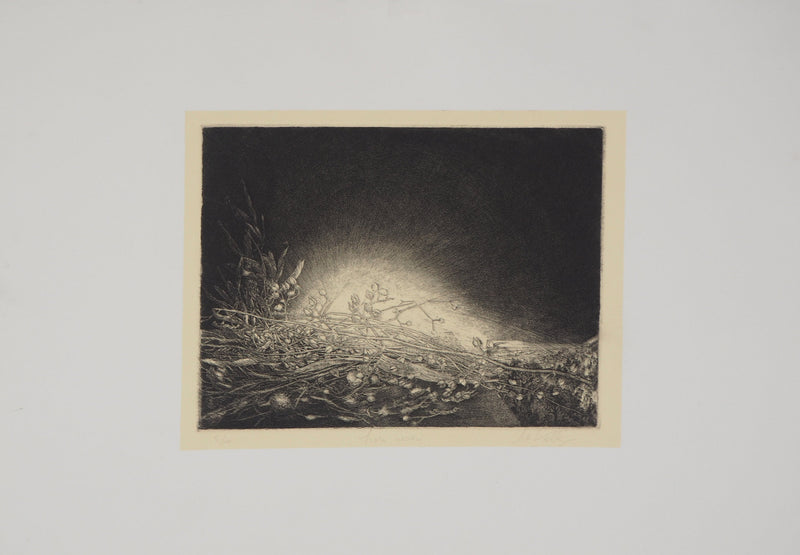Jean-Pierre VELLY : Liori secchi - Gravure (détail)