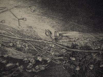 Jean-Pierre VELLY : Liori secchi - Gravure (détail)