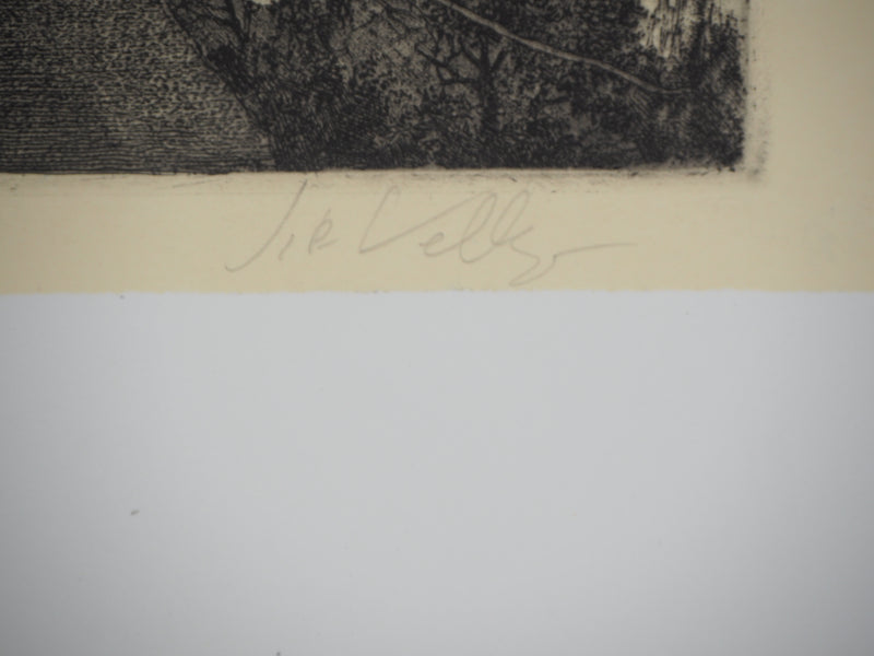 Jean-Pierre VELLY : Liori secchi - Gravure (détail)