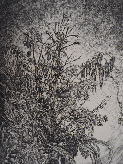 Jean-Pierre VELLY : Vase de fleurs - Gravure (détail)