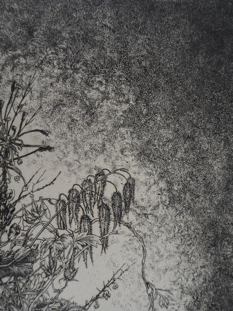 Jean-Pierre VELLY : Vase de fleurs - Gravure (détail)