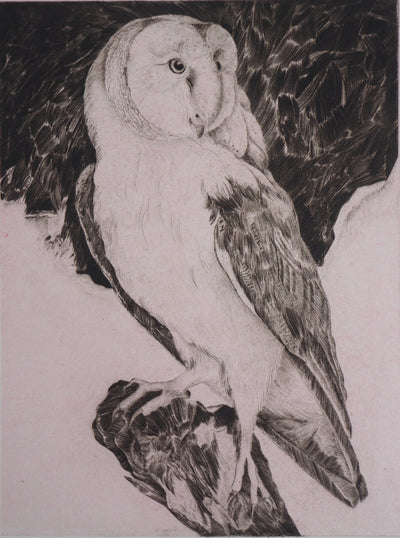  VERDIER : Hibou, 1982 - Gravure