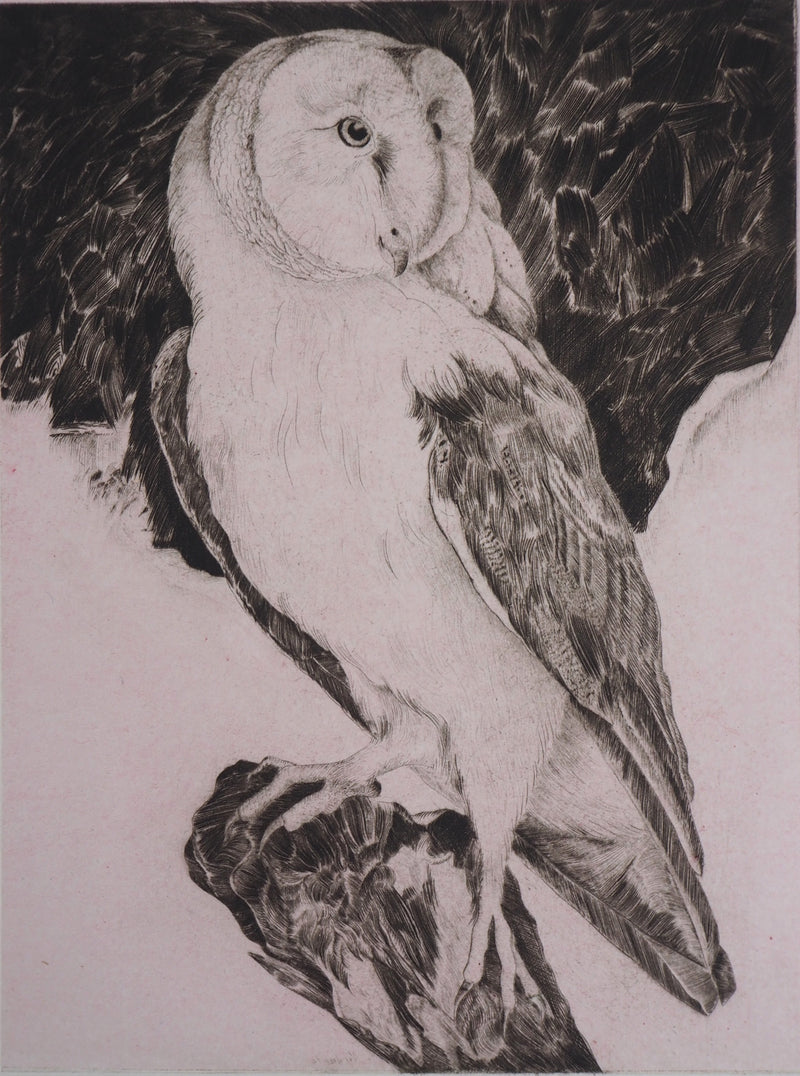  VERDIER : Hibou, 1982 - Gravure