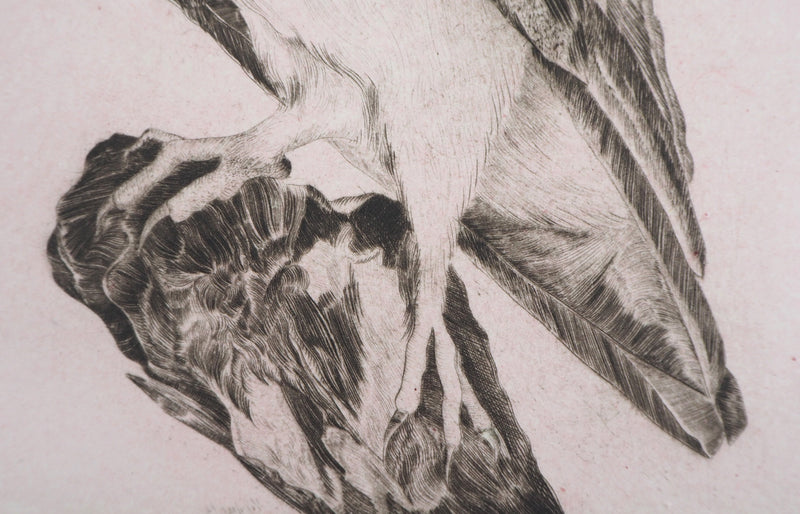  VERDIER : Hibou, 1982 - Gravure (détail)