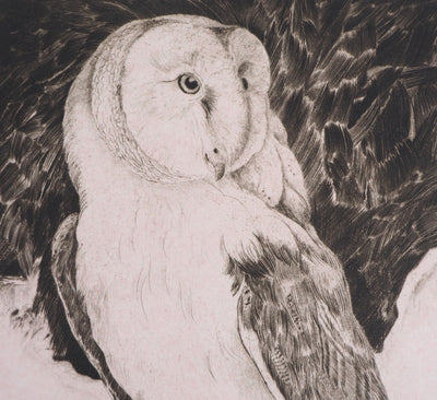  VERDIER : Hibou, 1982 - Gravure (détail)