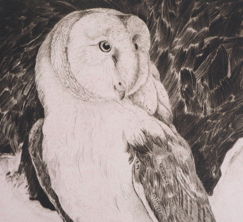  VERDIER : Hibou, 1982 - Gravure (détail)