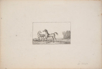 Charles-Antoine VERNET : Croquis de chevaux - Lithographie (détail)