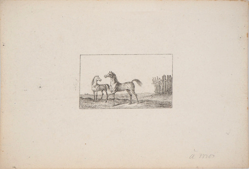 Charles-Antoine VERNET : Croquis de chevaux - Lithographie (détail)
