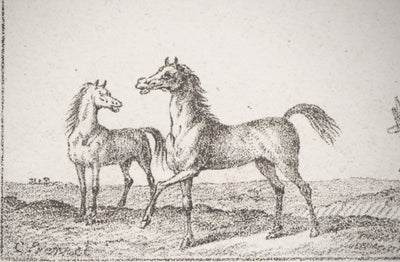 Charles-Antoine VERNET : Croquis de chevaux - Lithographie (détail)