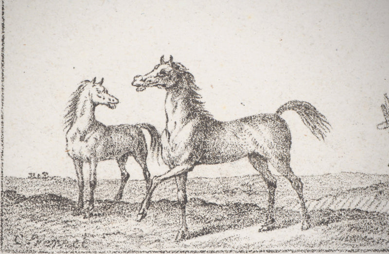 Charles-Antoine VERNET : Croquis de chevaux - Lithographie (détail)