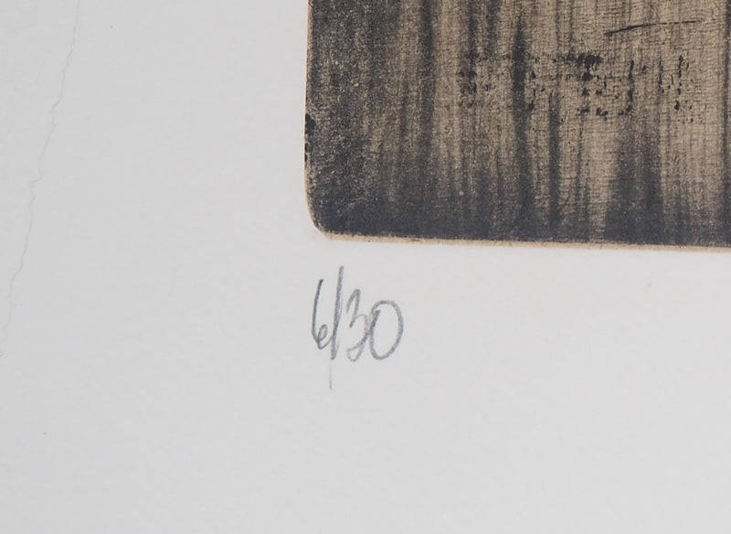 François VINCENT : La même et la différence, 1997 - Gravure (détail)
