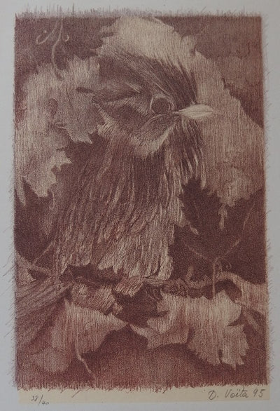 Denise Marie VOITA : L'oiseau des vignes - Lithographie