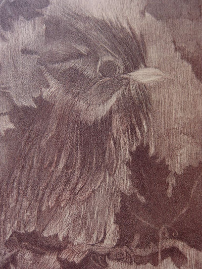 Denise Marie VOITA : L'oiseau des vignes - Lithographie (détail)