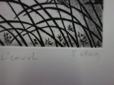 Simone VRAIN : L'envol - Gravure (détail)