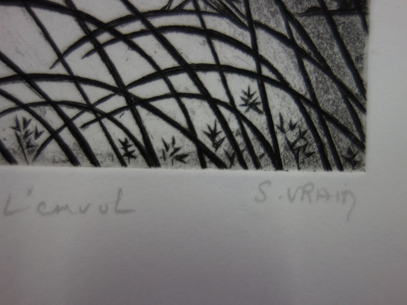 Simone VRAIN : L&